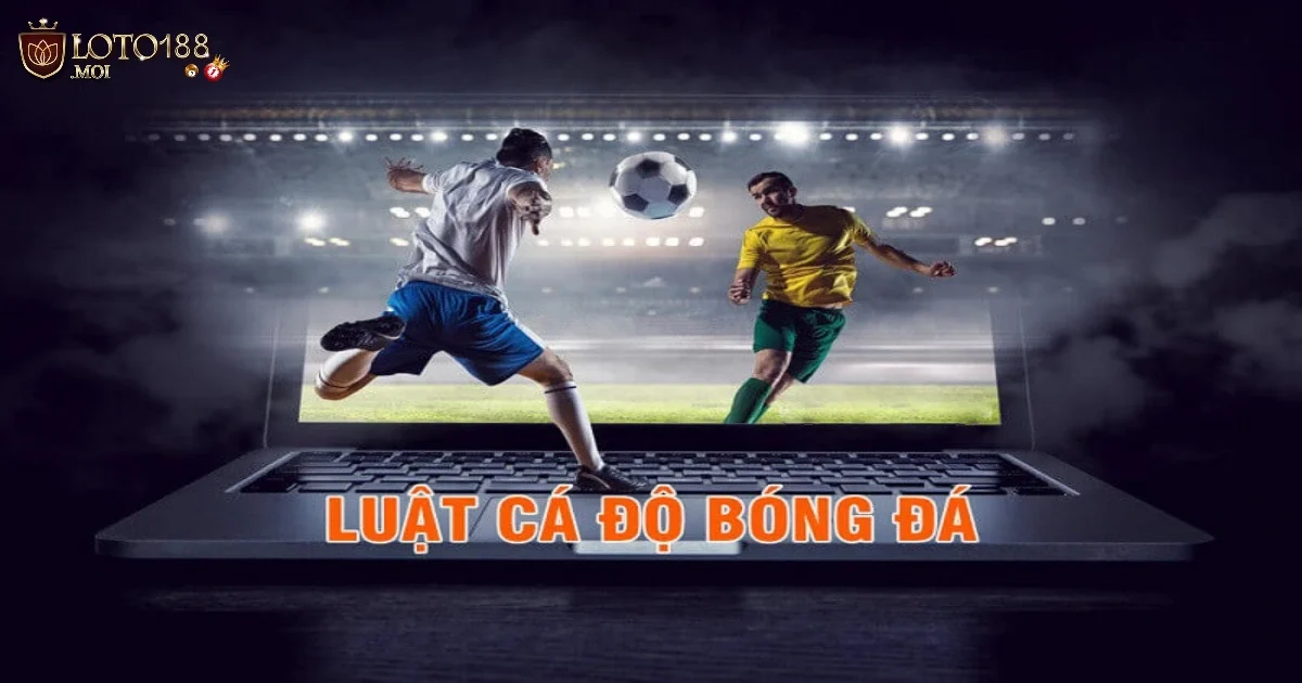 Luật Cá Độ Bóng Đá Là Gì? Những Điều Cần Biết Trước Khi Tham Gia